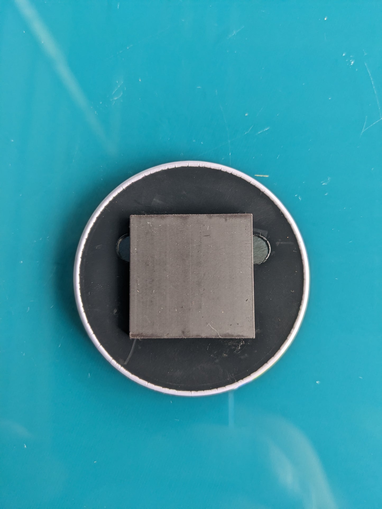 9 Custom Photo Magnects Round 2¨ Diameter